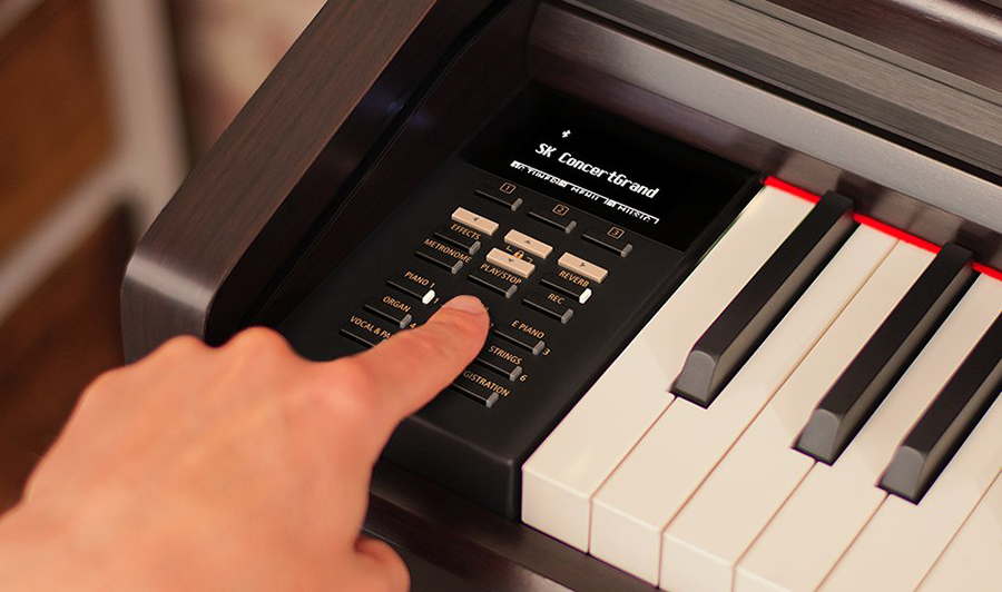 Music City – Tổng Kho Piano, Guitar, Organ | Dịch Vụ Giáo Dục Âm Nhạc