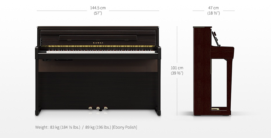 Music City – Tổng Kho Piano, Guitar, Organ | Dịch Vụ Giáo Dục Âm Nhạc
