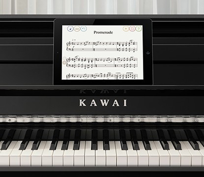 Music City – Tổng Kho Piano, Guitar, Organ | Dịch Vụ Giáo Dục Âm Nhạc