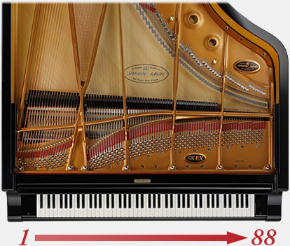 Music City – Tổng Kho Piano, Guitar, Organ | Dịch Vụ Giáo Dục Âm Nhạc