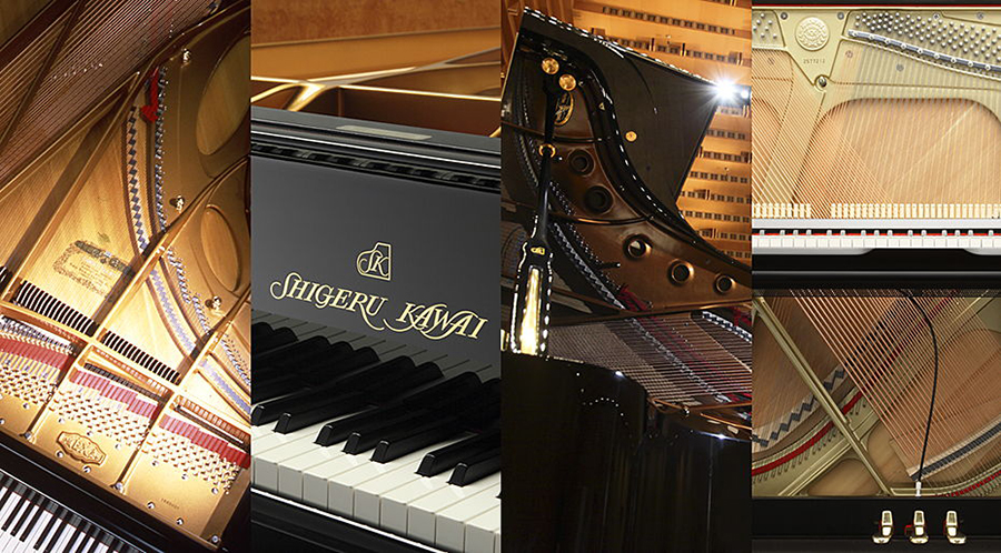 Music City – Tổng Kho Piano, Guitar, Organ | Dịch Vụ Giáo Dục Âm Nhạc