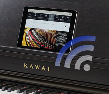 Music City – Tổng Kho Piano, Guitar, Organ | Dịch Vụ Giáo Dục Âm Nhạc