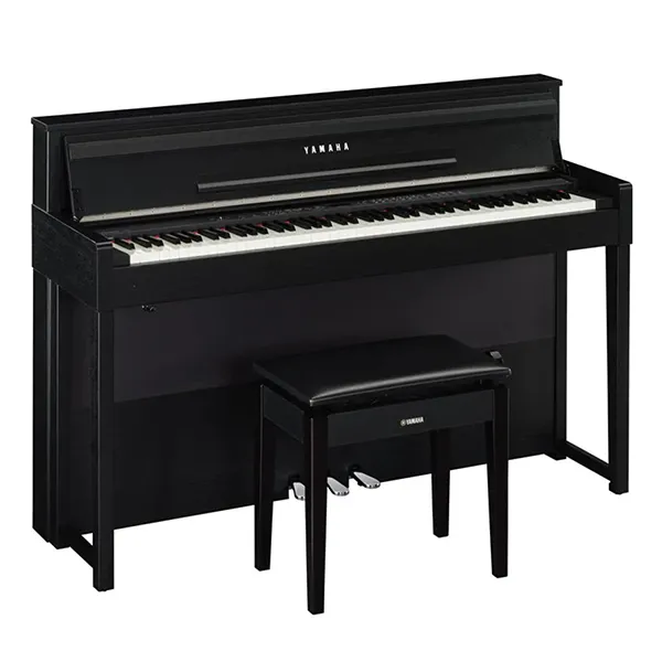 Music City – Tổng Kho Piano, Guitar, Organ | Dịch Vụ Giáo Dục Âm Nhạc