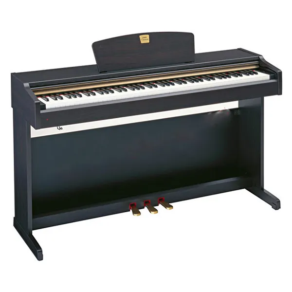 Music City – Tổng Kho Piano, Guitar, Organ | Dịch Vụ Giáo Dục Âm Nhạc