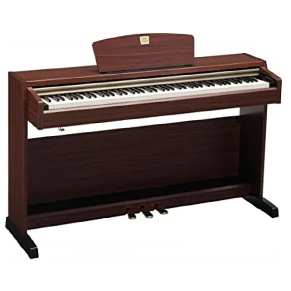 Music City – Tổng Kho Piano, Guitar, Organ | Dịch Vụ Giáo Dục Âm Nhạc