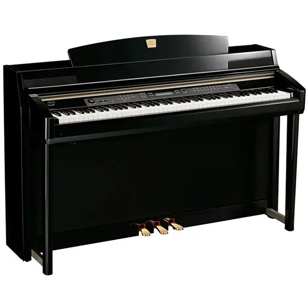 Music City – Tổng Kho Piano, Guitar, Organ | Dịch Vụ Giáo Dục Âm Nhạc