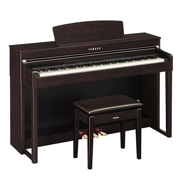 Music City – Tổng Kho Piano, Guitar, Organ | Dịch Vụ Giáo Dục Âm Nhạc