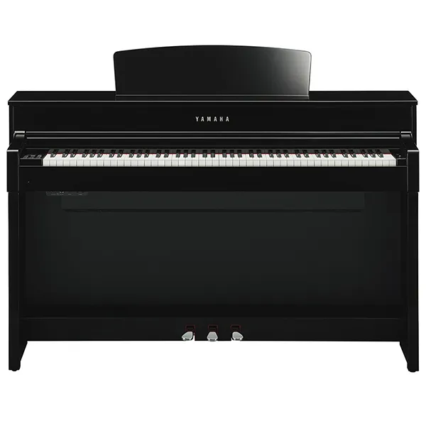 Music City – Tổng Kho Piano, Guitar, Organ | Dịch Vụ Giáo Dục Âm Nhạc