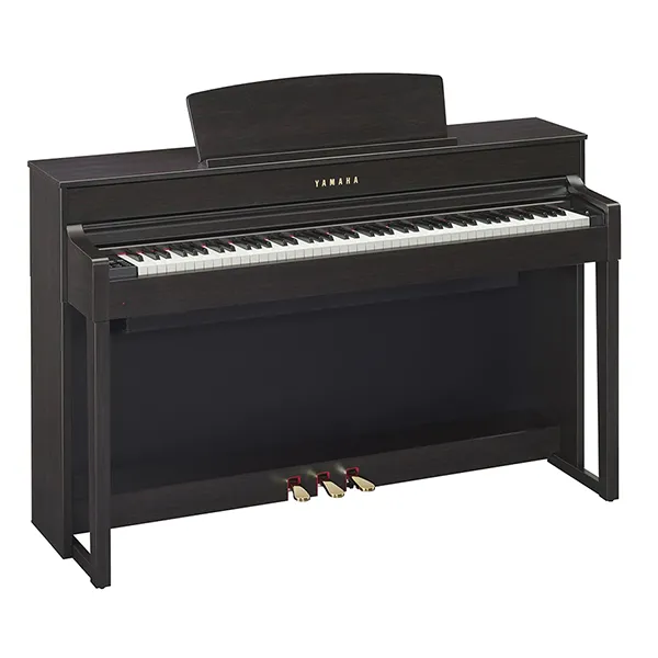 Music City – Tổng Kho Piano, Guitar, Organ | Dịch Vụ Giáo Dục Âm Nhạc