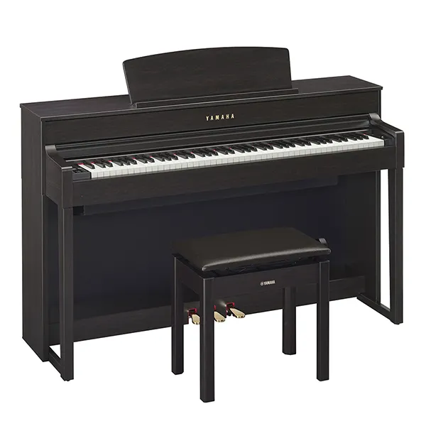 Music City – Tổng Kho Piano, Guitar, Organ | Dịch Vụ Giáo Dục Âm Nhạc