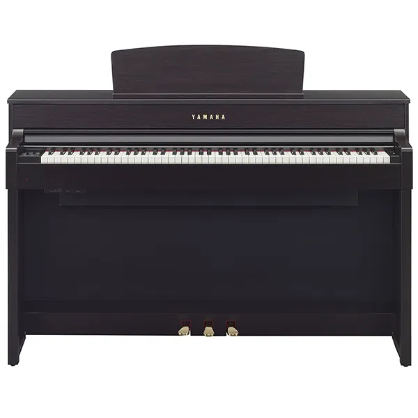Music City – Tổng Kho Piano, Guitar, Organ | Dịch Vụ Giáo Dục Âm Nhạc