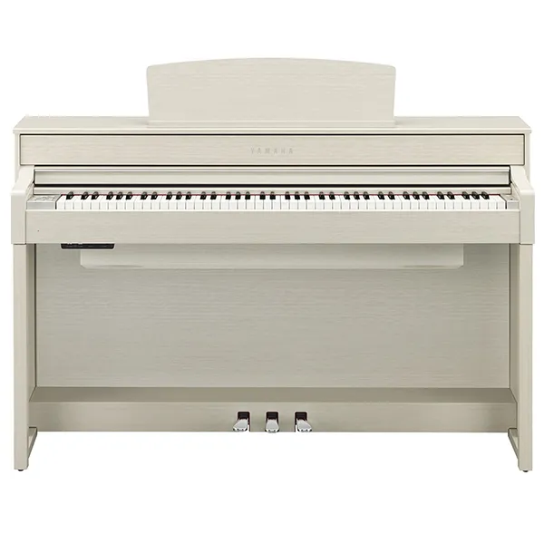Music City – Tổng Kho Piano, Guitar, Organ | Dịch Vụ Giáo Dục Âm Nhạc