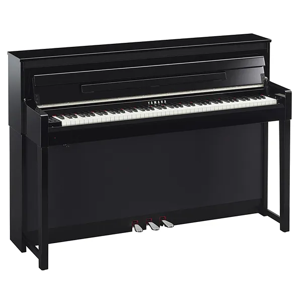 Music City – Tổng Kho Piano, Guitar, Organ | Dịch Vụ Giáo Dục Âm Nhạc