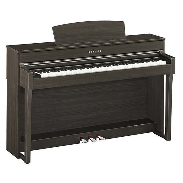 Music City – Tổng Kho Piano, Guitar, Organ | Dịch Vụ Giáo Dục Âm Nhạc