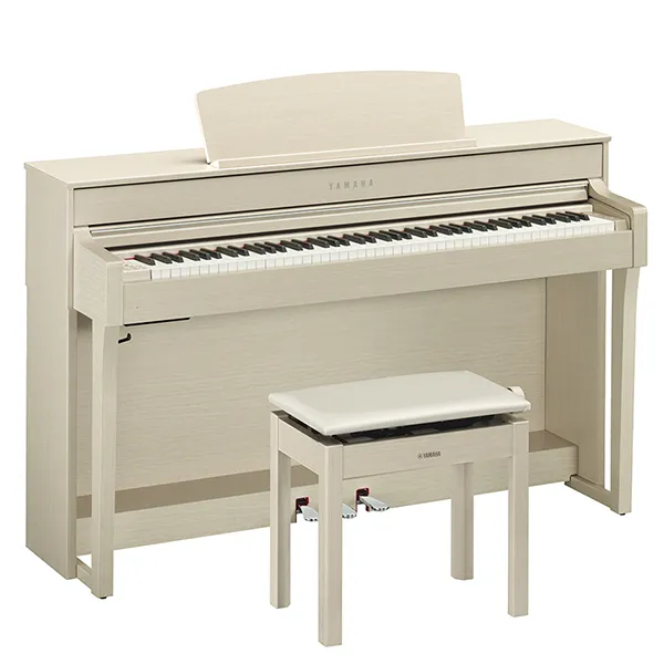 Music City – Tổng Kho Piano, Guitar, Organ | Dịch Vụ Giáo Dục Âm Nhạc