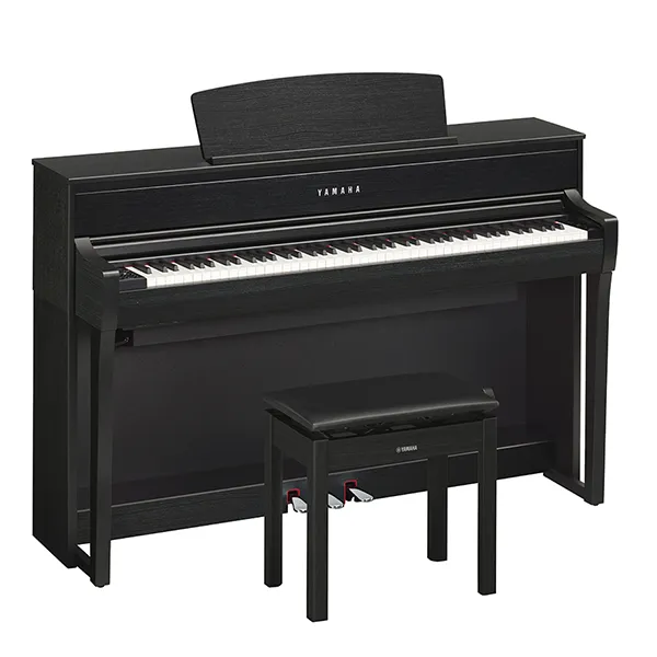 Music City – Tổng Kho Piano, Guitar, Organ | Dịch Vụ Giáo Dục Âm Nhạc
