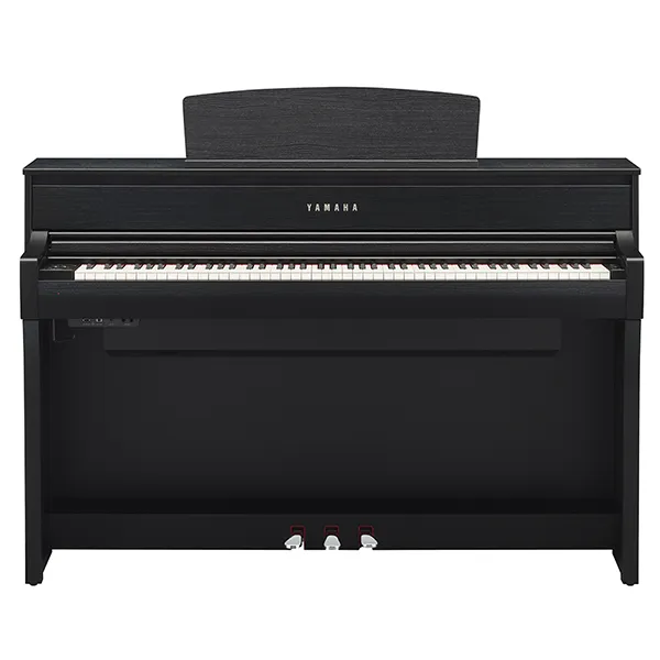 Music City – Tổng Kho Piano, Guitar, Organ | Dịch Vụ Giáo Dục Âm Nhạc