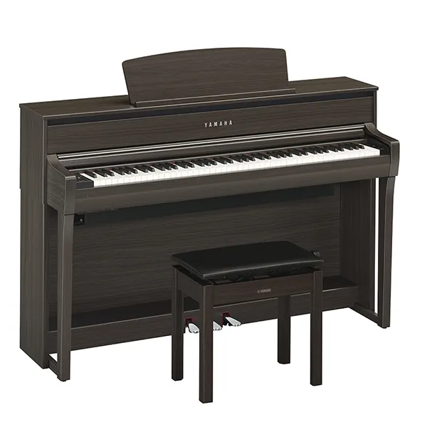 Music City – Tổng Kho Piano, Guitar, Organ | Dịch Vụ Giáo Dục Âm Nhạc