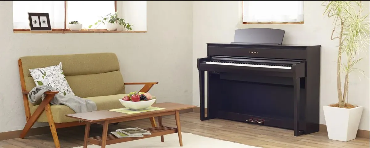 Music City – Tổng Kho Piano, Guitar, Organ | Dịch Vụ Giáo Dục Âm Nhạc