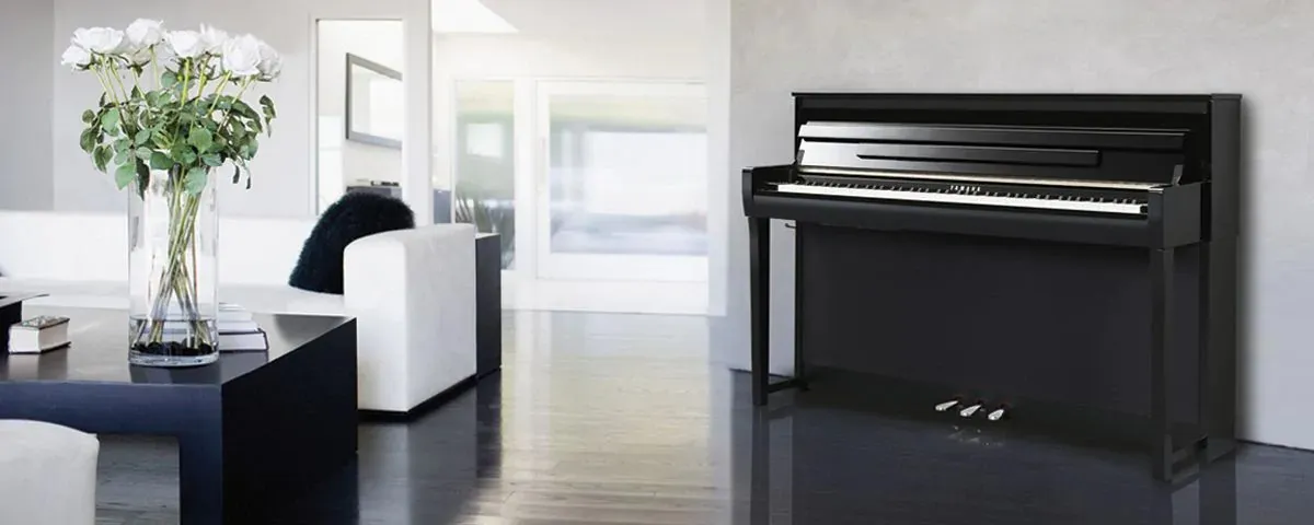 Music City – Tổng Kho Piano, Guitar, Organ | Dịch Vụ Giáo Dục Âm Nhạc