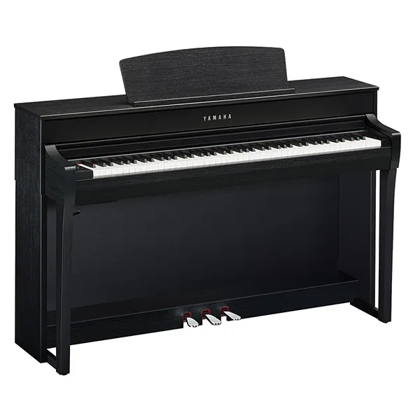 Music City – Tổng Kho Piano, Guitar, Organ | Dịch Vụ Giáo Dục Âm Nhạc