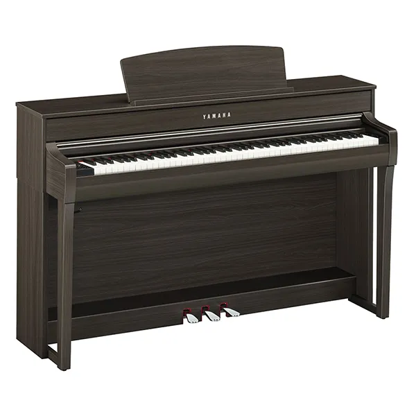Music City – Tổng Kho Piano, Guitar, Organ | Dịch Vụ Giáo Dục Âm Nhạc