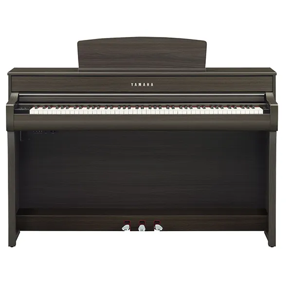 Music City – Tổng Kho Piano, Guitar, Organ | Dịch Vụ Giáo Dục Âm Nhạc