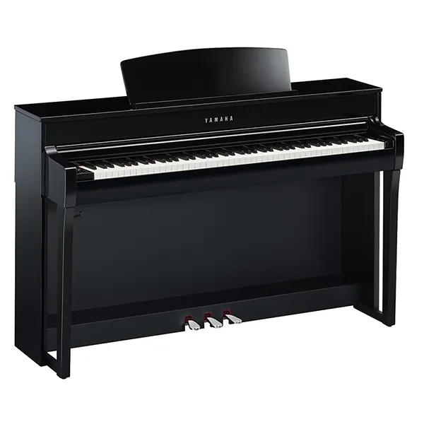 Music City – Tổng Kho Piano, Guitar, Organ | Dịch Vụ Giáo Dục Âm Nhạc
