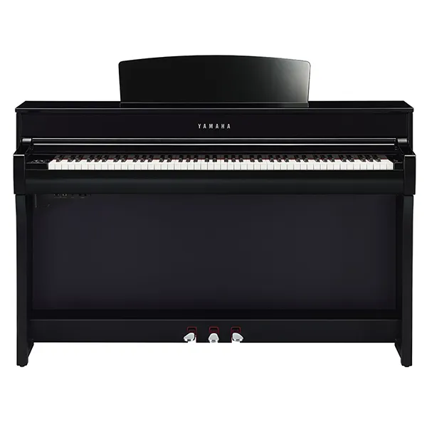 Music City – Tổng Kho Piano, Guitar, Organ | Dịch Vụ Giáo Dục Âm Nhạc