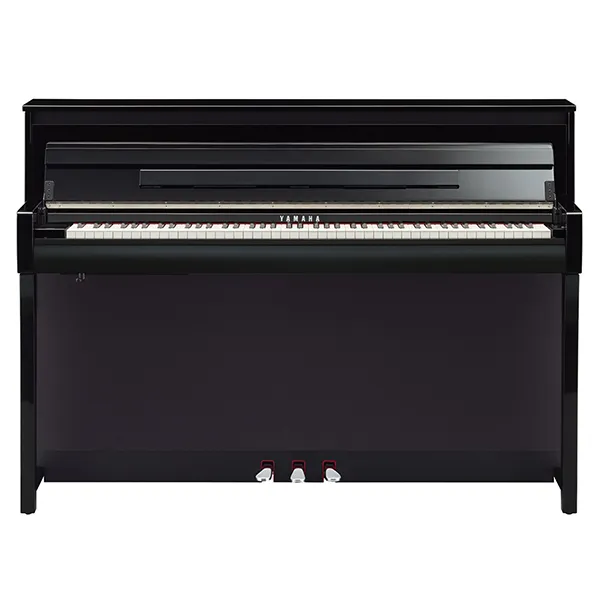 Music City – Tổng Kho Piano, Guitar, Organ | Dịch Vụ Giáo Dục Âm Nhạc