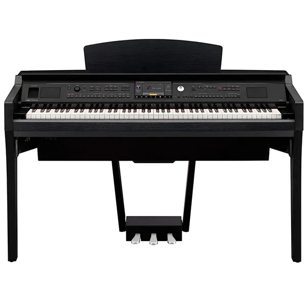 Music City – Tổng Kho Piano, Guitar, Organ | Dịch Vụ Giáo Dục Âm Nhạc