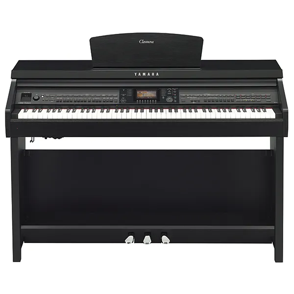 Music City – Tổng Kho Piano, Guitar, Organ | Dịch Vụ Giáo Dục Âm Nhạc