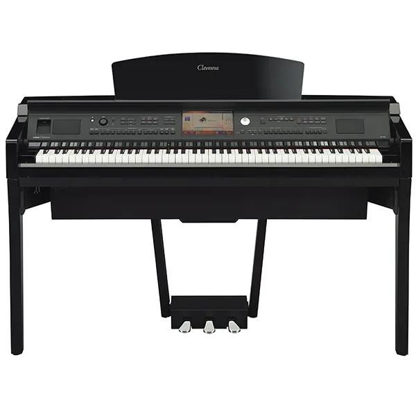 Music City – Tổng Kho Piano, Guitar, Organ | Dịch Vụ Giáo Dục Âm Nhạc