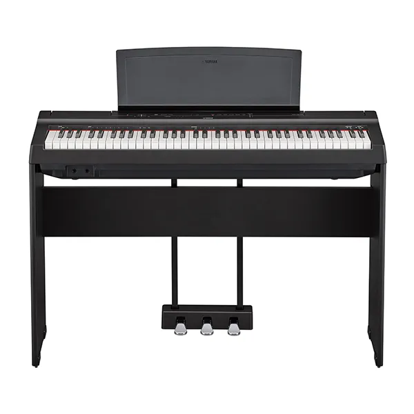 Music City – Tổng Kho Piano, Guitar, Organ | Dịch Vụ Giáo Dục Âm Nhạc