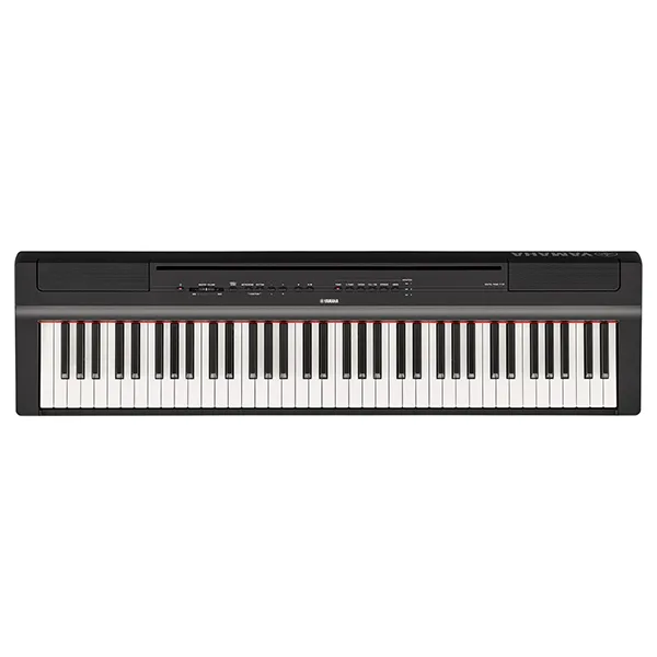 Music City – Tổng Kho Piano, Guitar, Organ | Dịch Vụ Giáo Dục Âm Nhạc
