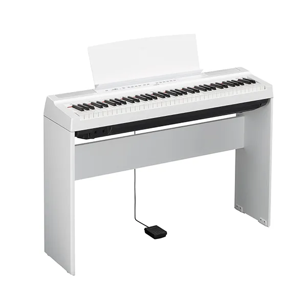 Music City – Tổng Kho Piano, Guitar, Organ | Dịch Vụ Giáo Dục Âm Nhạc
