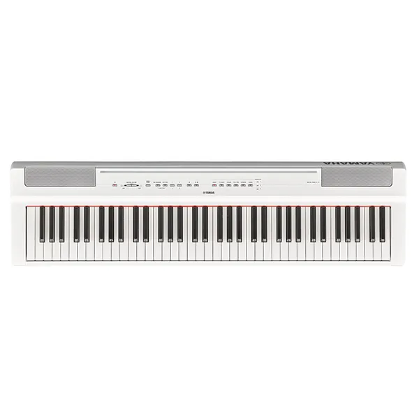 Music City – Tổng Kho Piano, Guitar, Organ | Dịch Vụ Giáo Dục Âm Nhạc