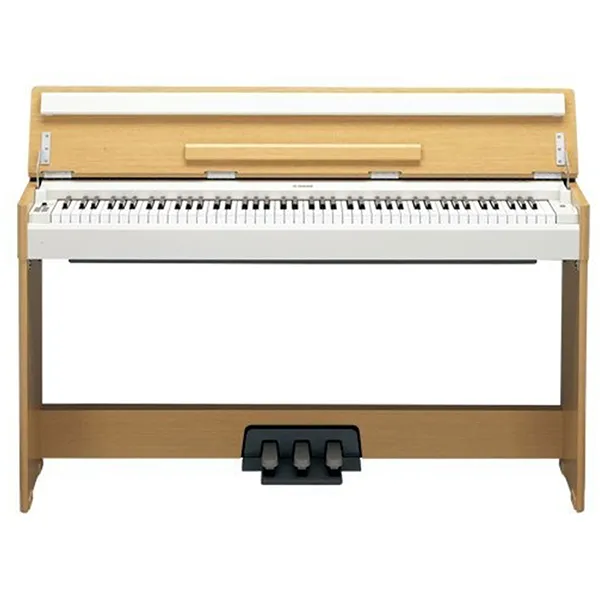 Music City – Tổng Kho Piano, Guitar, Organ | Dịch Vụ Giáo Dục Âm Nhạc