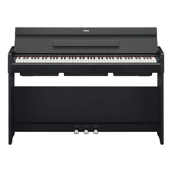 Music City – Tổng Kho Piano, Guitar, Organ | Dịch Vụ Giáo Dục Âm Nhạc