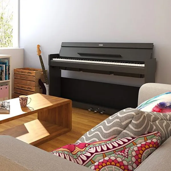 Music City – Tổng Kho Piano, Guitar, Organ | Dịch Vụ Giáo Dục Âm Nhạc