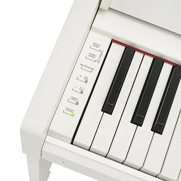 Music City – Tổng Kho Piano, Guitar, Organ | Dịch Vụ Giáo Dục Âm Nhạc