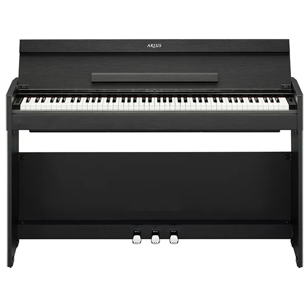 Music City – Tổng Kho Piano, Guitar, Organ | Dịch Vụ Giáo Dục Âm Nhạc