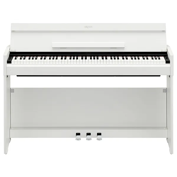 Music City – Tổng Kho Piano, Guitar, Organ | Dịch Vụ Giáo Dục Âm Nhạc