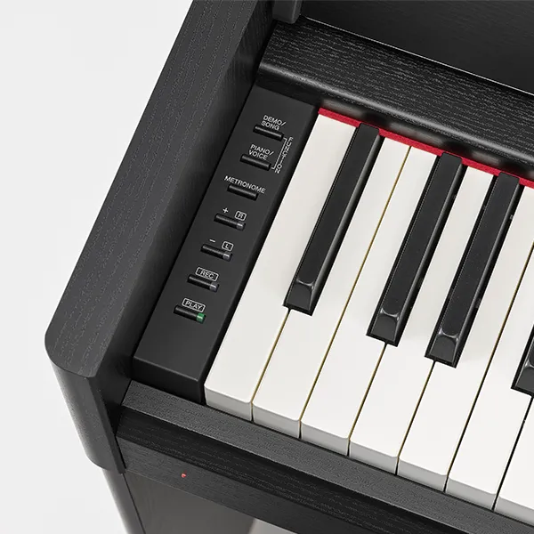 Music City – Tổng Kho Piano, Guitar, Organ | Dịch Vụ Giáo Dục Âm Nhạc
