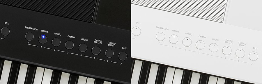 Music City – Tổng Kho Piano, Guitar, Organ | Dịch Vụ Giáo Dục Âm Nhạc
