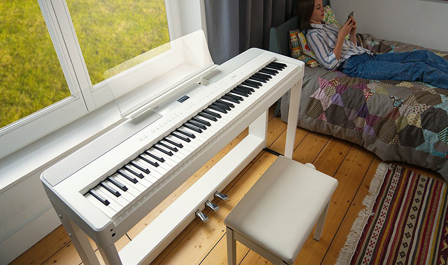 Music City – Tổng Kho Piano, Guitar, Organ | Dịch Vụ Giáo Dục Âm Nhạc