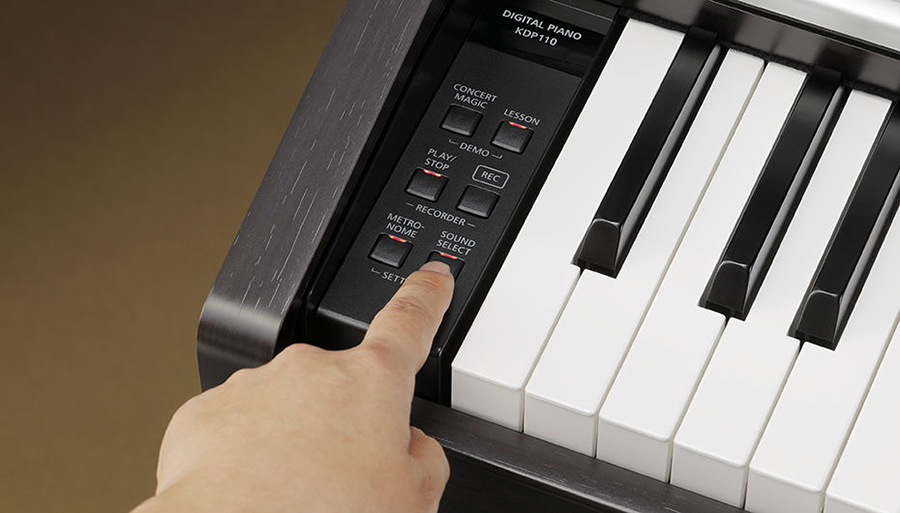 Music City – Tổng Kho Piano, Guitar, Organ | Dịch Vụ Giáo Dục Âm Nhạc