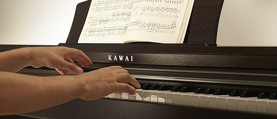 Music City – Tổng Kho Piano, Guitar, Organ | Dịch Vụ Giáo Dục Âm Nhạc