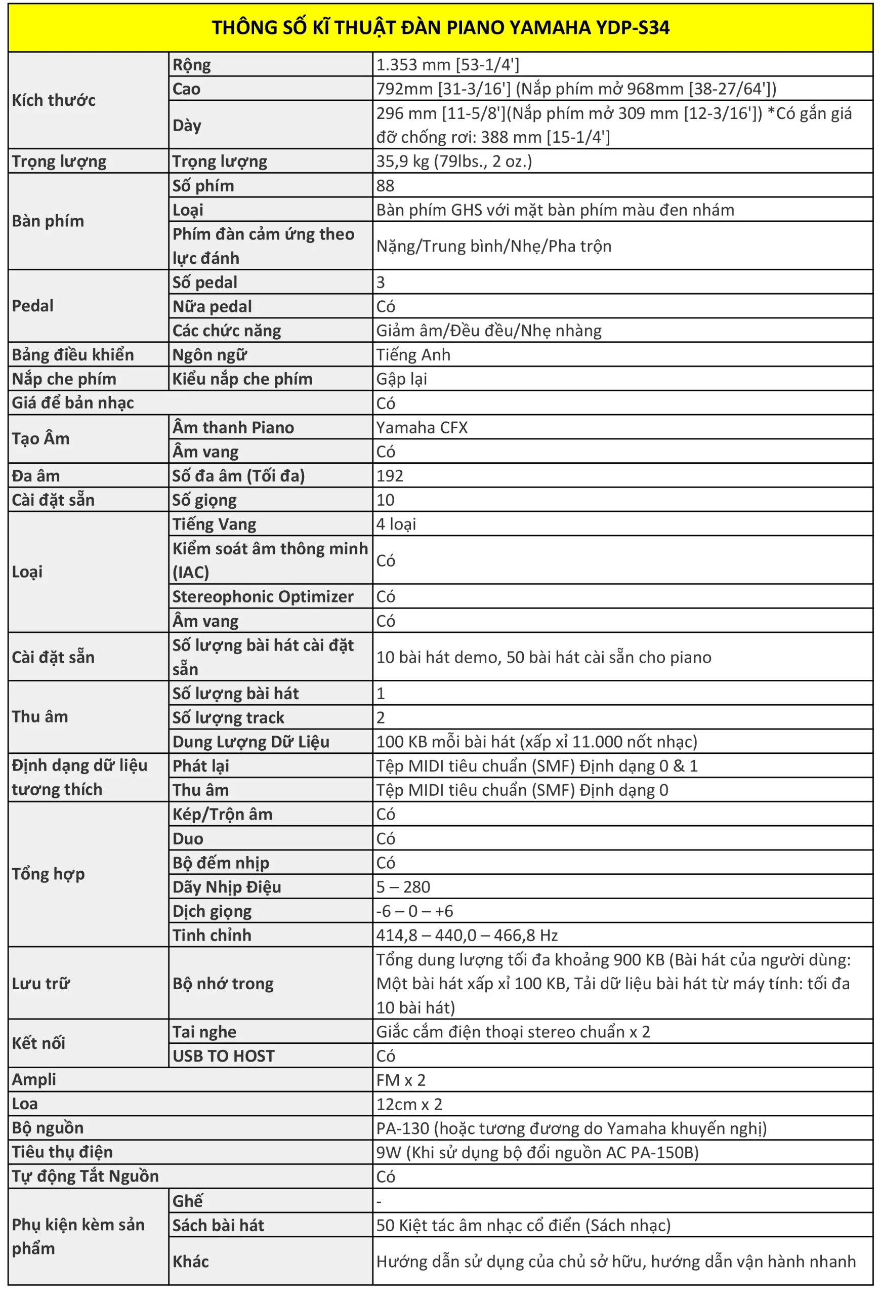 Music City – Tổng Kho Piano, Guitar, Organ | Dịch Vụ Giáo Dục Âm Nhạc