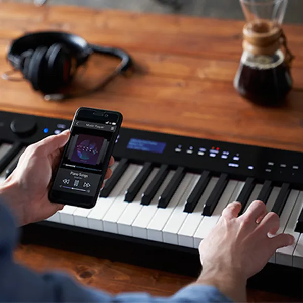 Music City – Tổng Kho Piano, Guitar, Organ | Dịch Vụ Giáo Dục Âm Nhạc